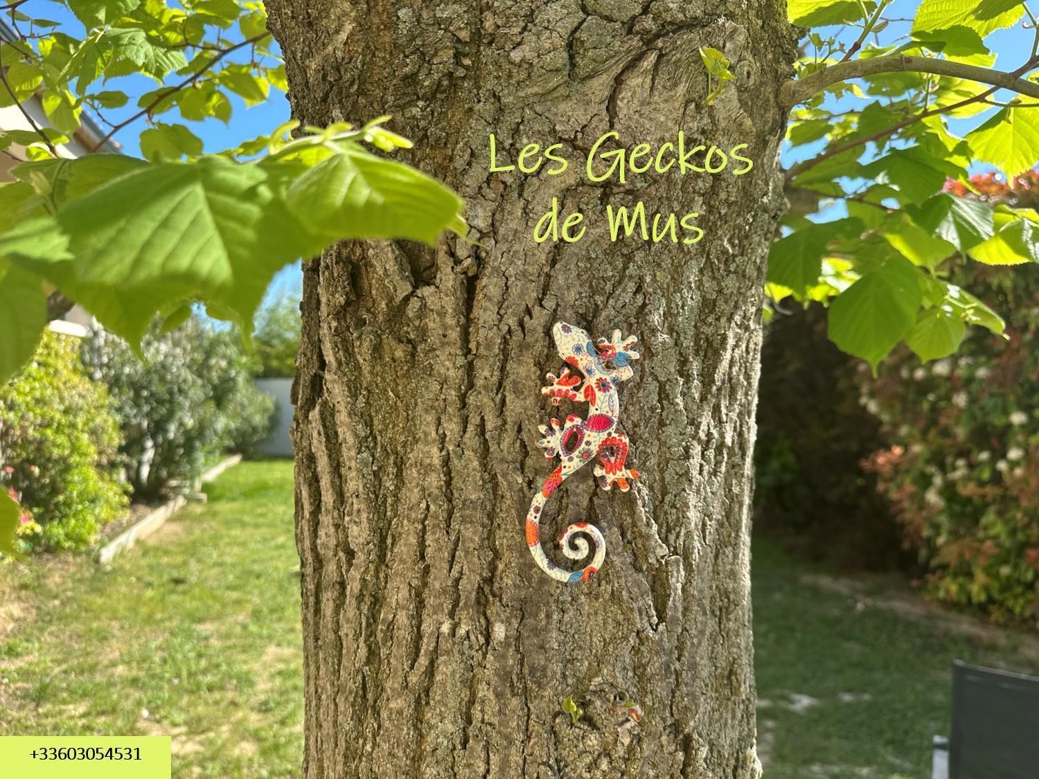 Les Geckos De Mus Exterior foto